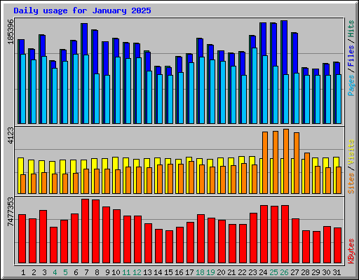 Daily usage for January 2025