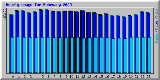 Hourly usage for February 2025