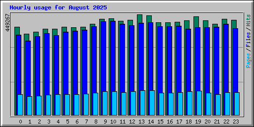 Hourly usage for August 2025