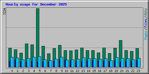 Hourly usage for December 2025